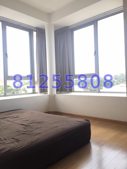 D' Chateau @ Shelford (D11), Apartment #72584261